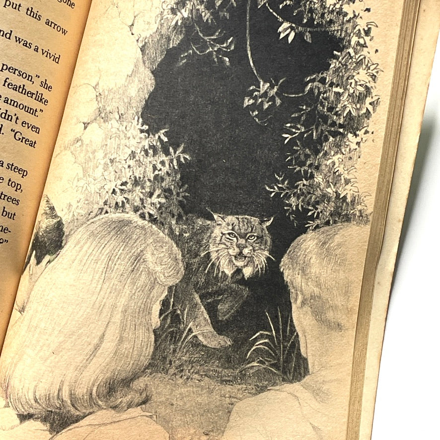 Nancy Drew 58: Flying Saucer Mystery 1980 Illustrated Paperback Book