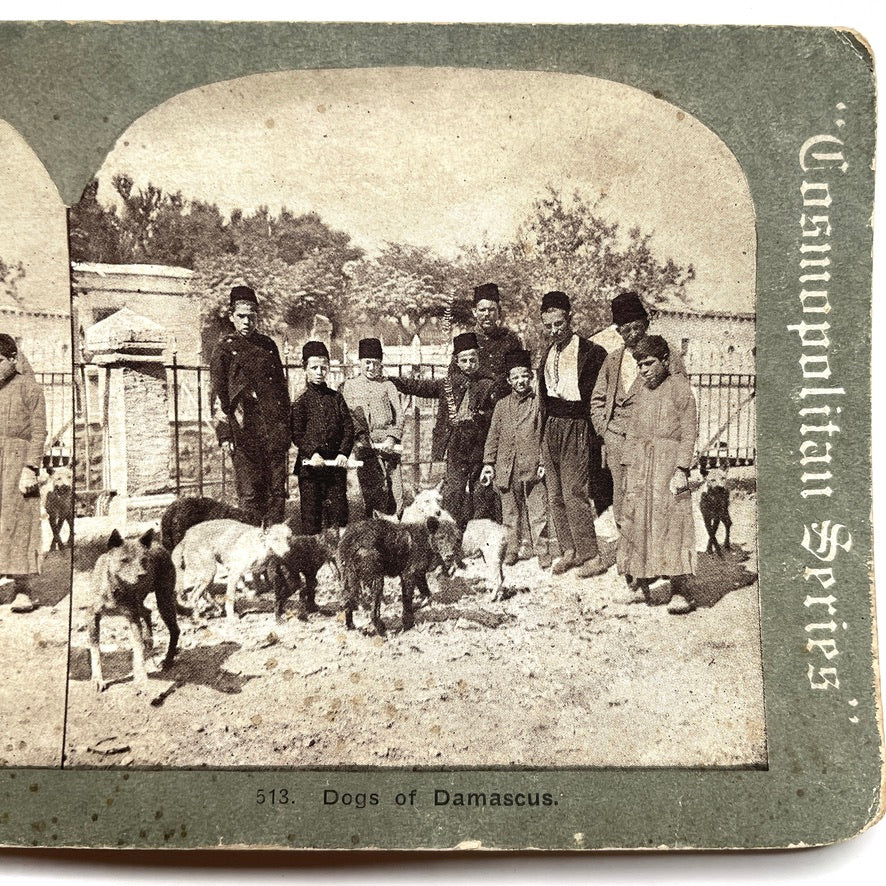 Antique Stereoview Cards