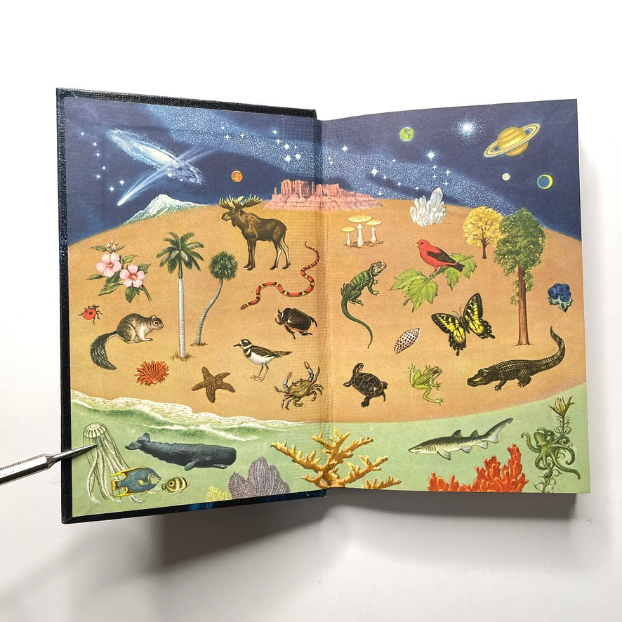 Golden Nature Guide: Stars 1956 Cloth Bound Mini Hardcover Book