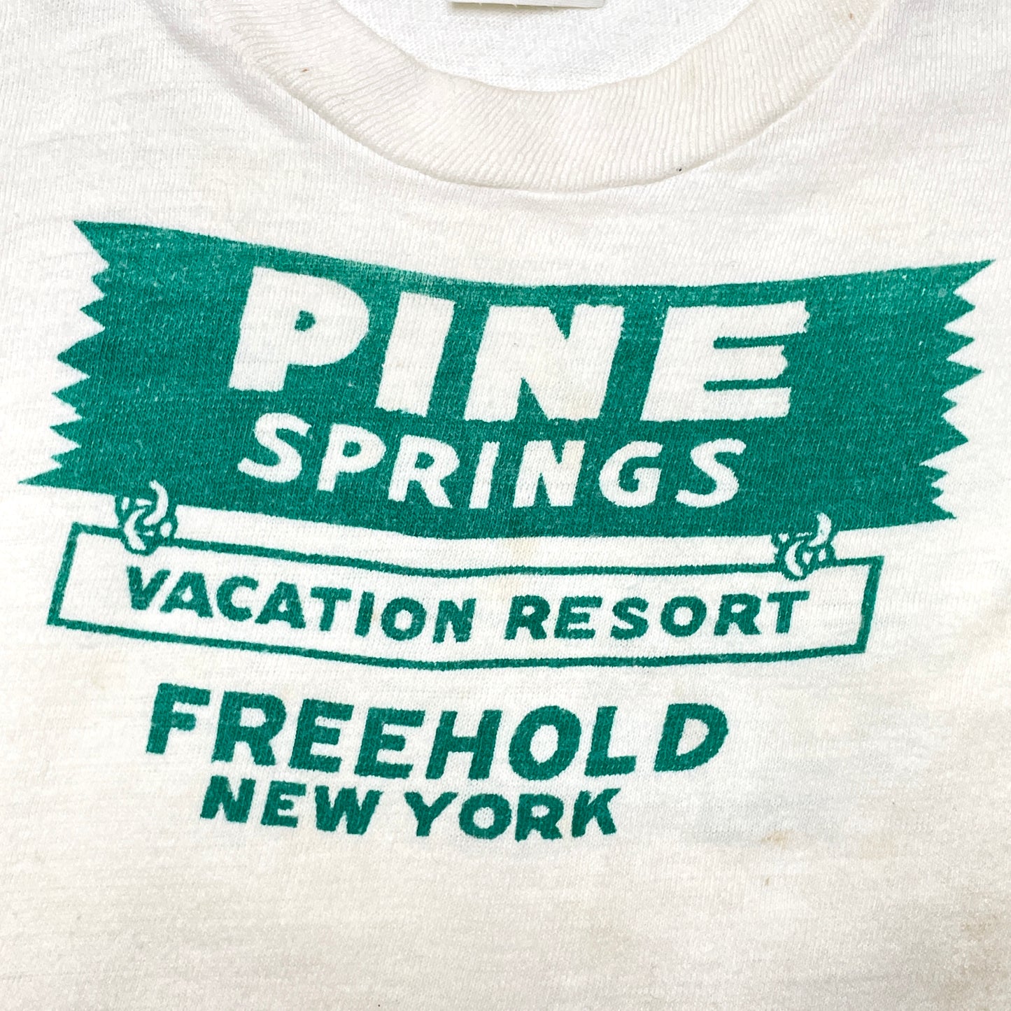 Pine Springs Graphic White T-Shirt 2T