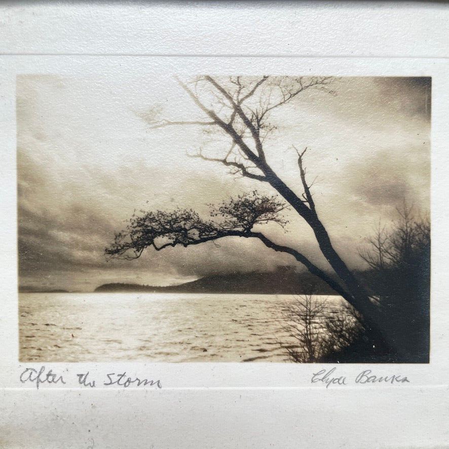 Clyde Banks Signed + Framed Landscape Photos Bellingham WA