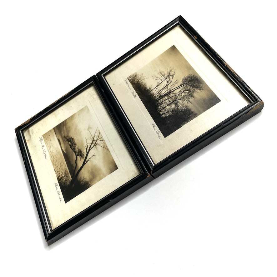 Clyde Banks Signed + Framed Landscape Photos Bellingham WA