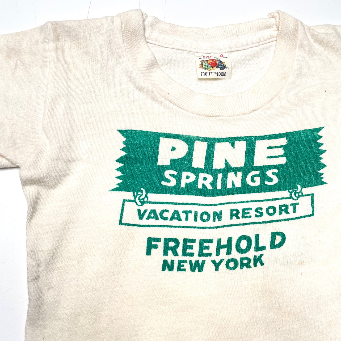 Pine Springs Graphic White T-Shirt 2T