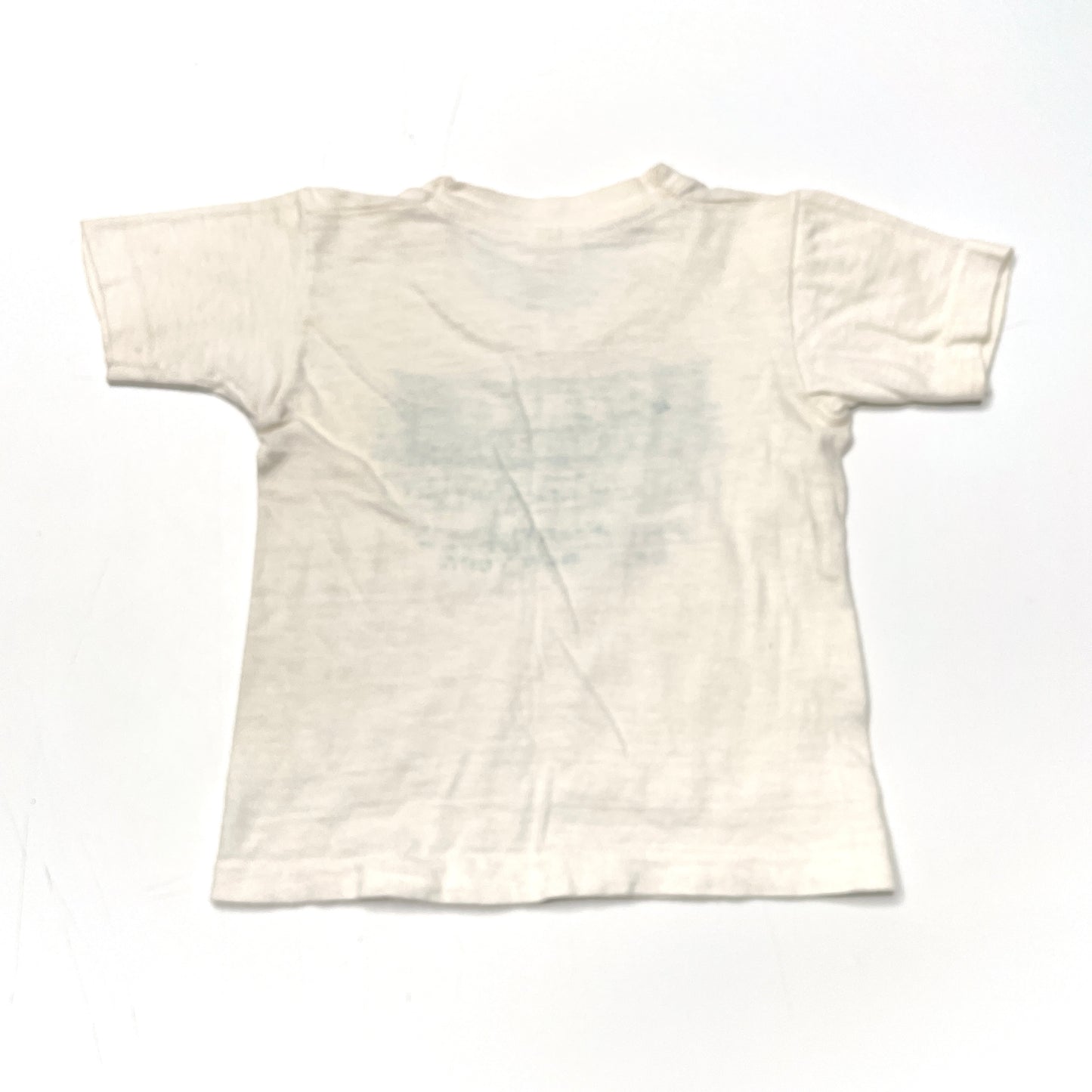 Pine Springs Graphic White T-Shirt 2T