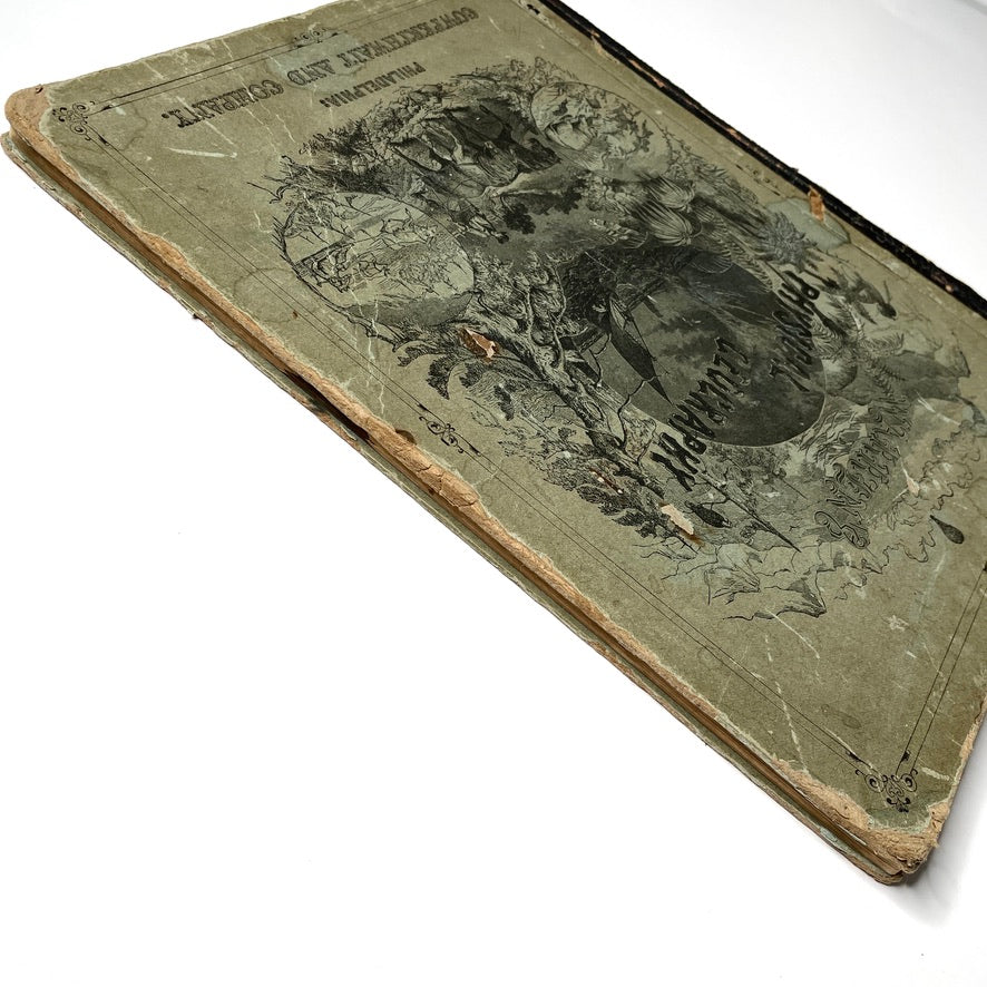 Warren's Physical Geography By D. M. Warren 1873 Cowperthwait & Co. - Antique Hardcover Illustrated Book