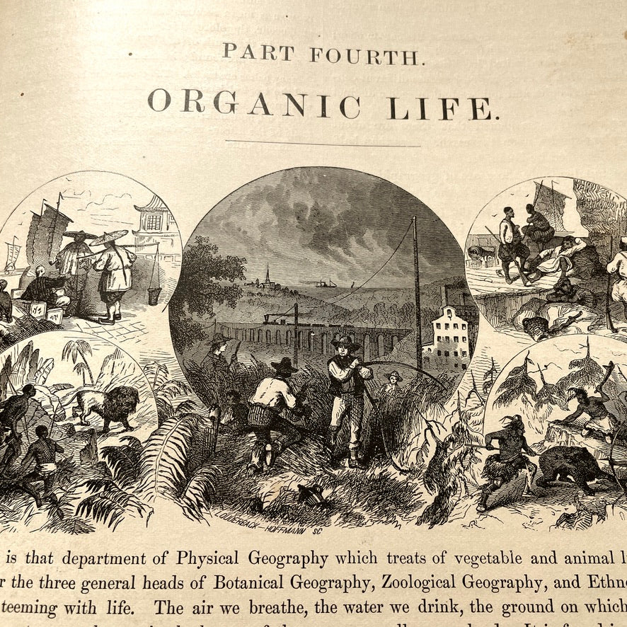 Warren's Physical Geography By D. M. Warren 1873 Cowperthwait & Co. - Antique Hardcover Illustrated Book
