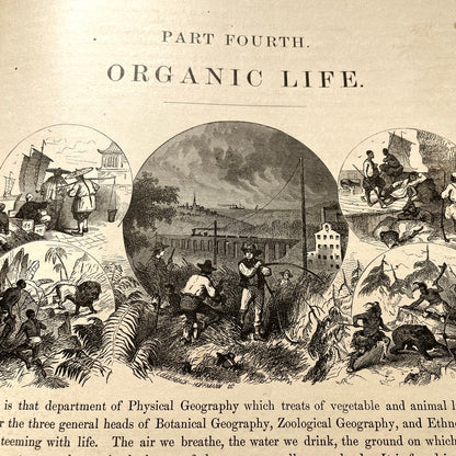 Warren's Physical Geography By D. M. Warren 1873 Cowperthwait & Co. - Antique Hardcover Illustrated Book