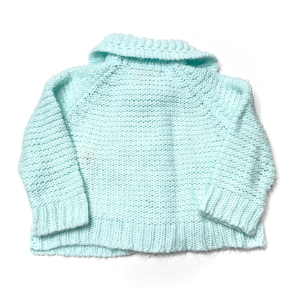 Puppy Dog Embroidery Robin's Egg Knit Cardigan Sweater 18M