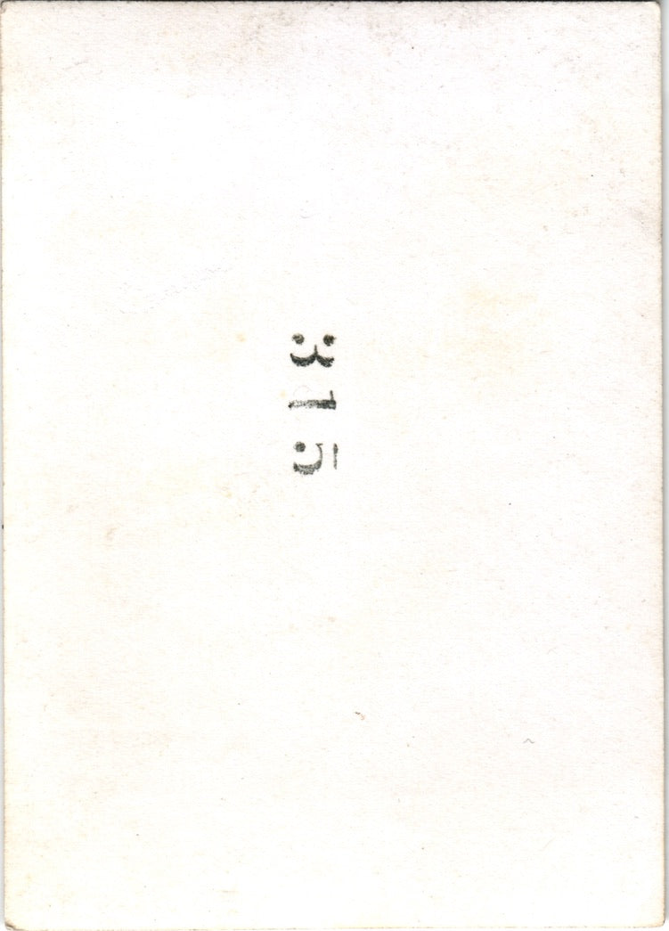 Shark Thrashing On Deck Snapshot - 2.5x3.5"