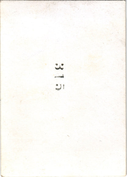 Shark Thrashing On Deck Snapshot - 2.5x3.5"