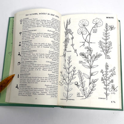 1968 Peterson & McKenny Field Guide To Wildflowers (Northeast)