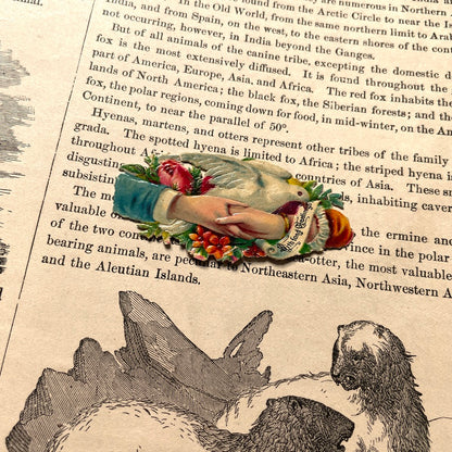 Warren's Physical Geography By D. M. Warren 1873 Cowperthwait & Co. - Antique Hardcover Illustrated Book