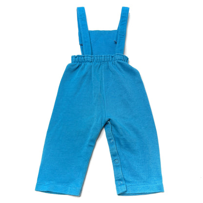 Turtle Embroidery Cerulean Blue Overalls 12-18M
