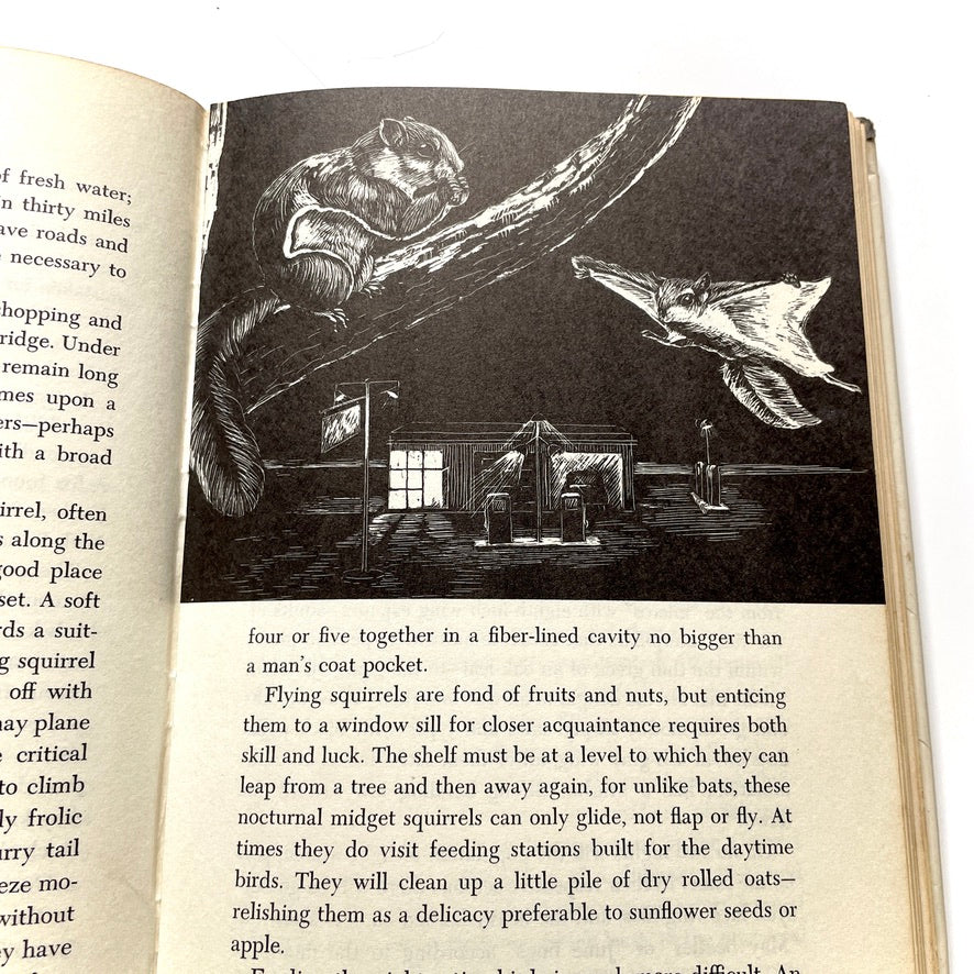 World of Night 1956 Illustrated Hardcover Book (Ex-Library)