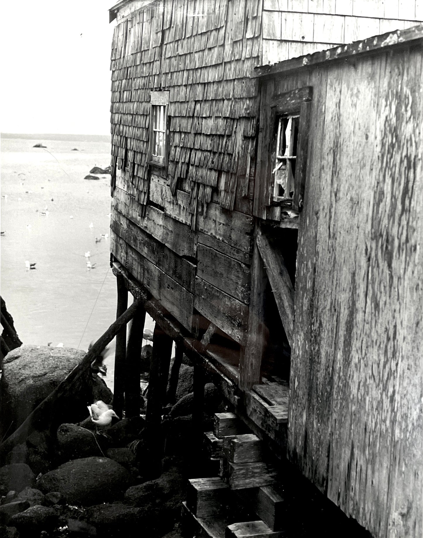Old House By The Sea (Maine) Vintage New England Photo - Frame Size 12"x15"