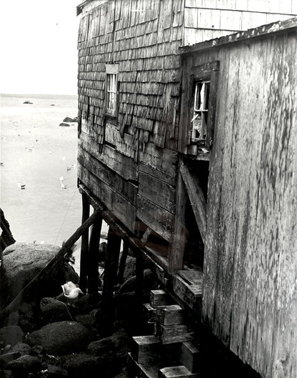 Old House By The Sea (Maine) Vintage New England Photo - Frame Size 12"x15"